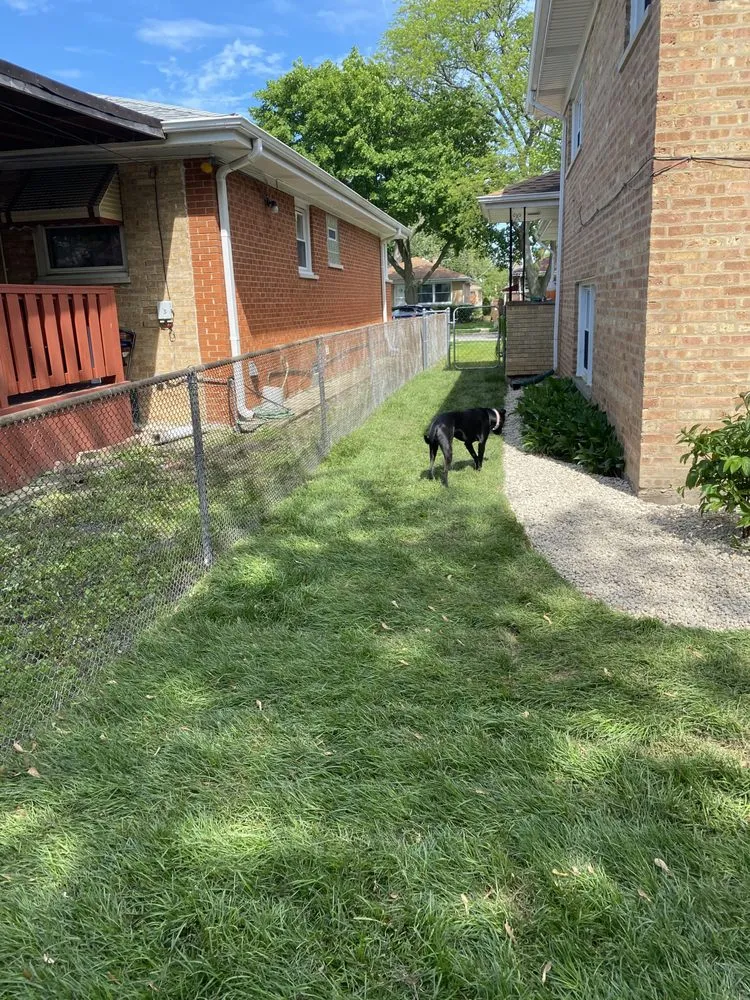 Custom residential landscaping experts serving Chicago, IL - New Blossoms Lawn Care