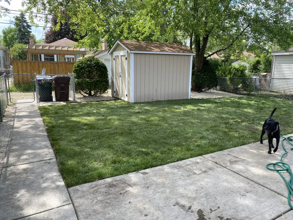 Expert yard maintenance for homes in Chicago, IL by New Blossoms Lawn Care