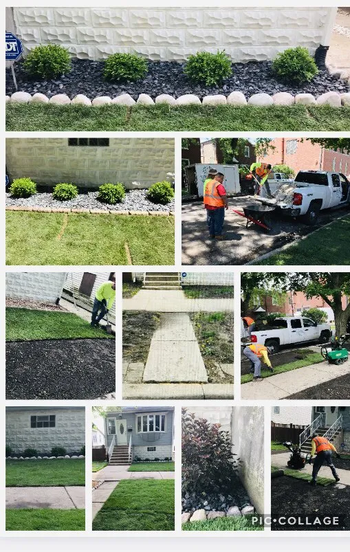 Affordable landscaping services in Chicago, IL - New Blossoms Lawn Care