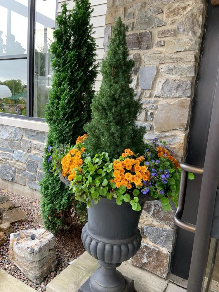 Top-rated outdoor landscaping for homes in Chicago, IL by New Blossoms Lawn Care