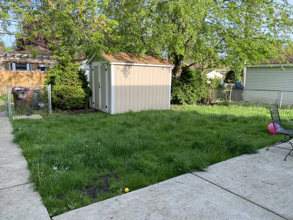 Expert yard maintenance in Chicago, IL by New Blossoms Lawn Care