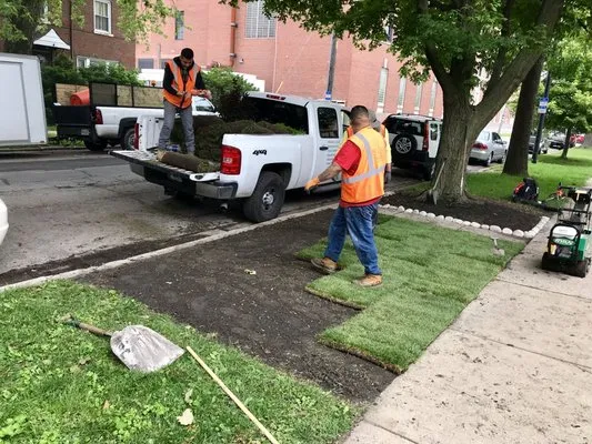 New Blossoms Lawn Care Logo