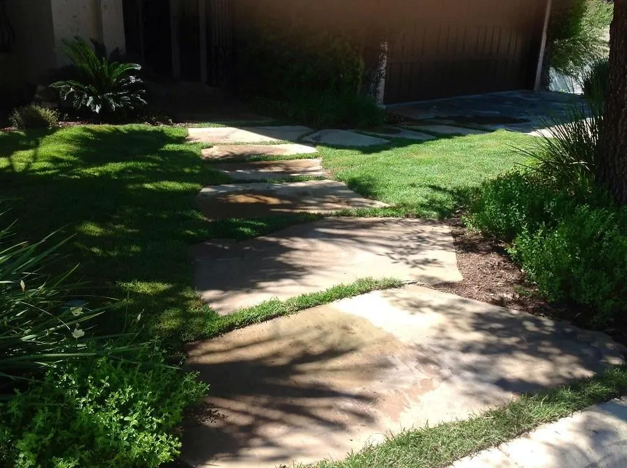 Local yard cleanup service in New Braunfels, TX - New Braunfels Property Care