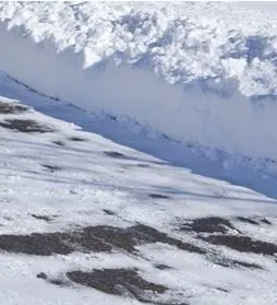 Local outdoor landscaping in Bound Brook, NJ - New Breeze Tree & Landscape Service