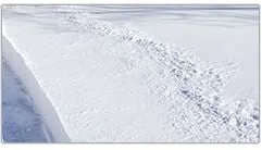 Expert yard maintenance in Bound Brook, NJ by New Breeze Tree & Landscape Service