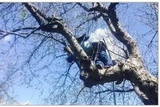 Professional garden landscaping for residential properties across Bound Brook, NJ - New Breeze Tree & Landscape Service