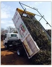 New Breeze Tree & Landscape Service Logo