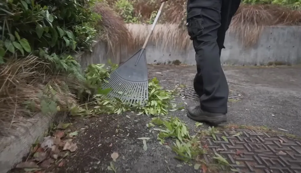 Professional outdoor landscaping for year-round maintenance across New Canaan, CT - New Canaan Landscaping