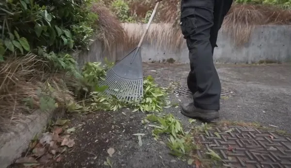 New Canaan Landscaping