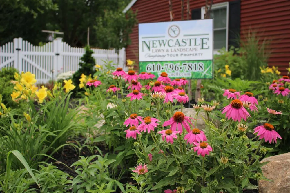 Local yard maintenance in Birdsboro, PA by New Castle Lawn & Landscape