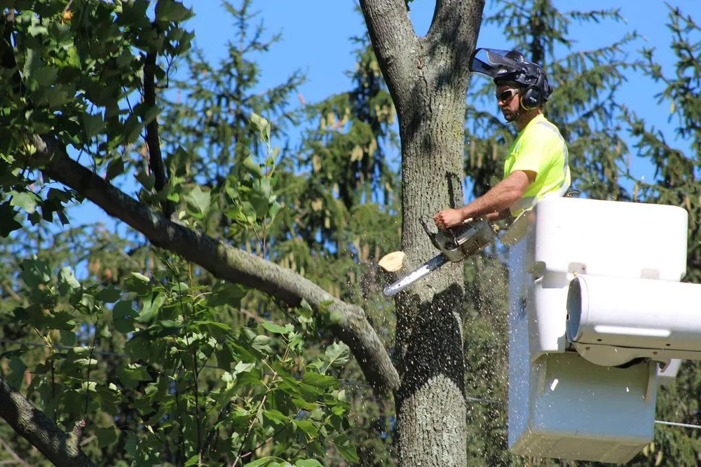 Custom yard maintenance in Birdsboro, PA - New Castle Lawn & Landscape