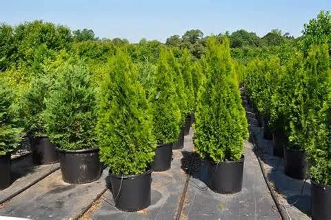 Affordable landscape installation for residential properties across Mickleton, NJ - New Caztle Property Services