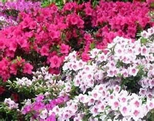 Affordable outdoor landscaping for beautiful yards across Mickleton, NJ - New Caztle Property Services