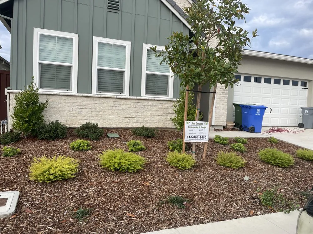 Professional landscape design in Rancho Cordova, CA - New Concept Landscaping