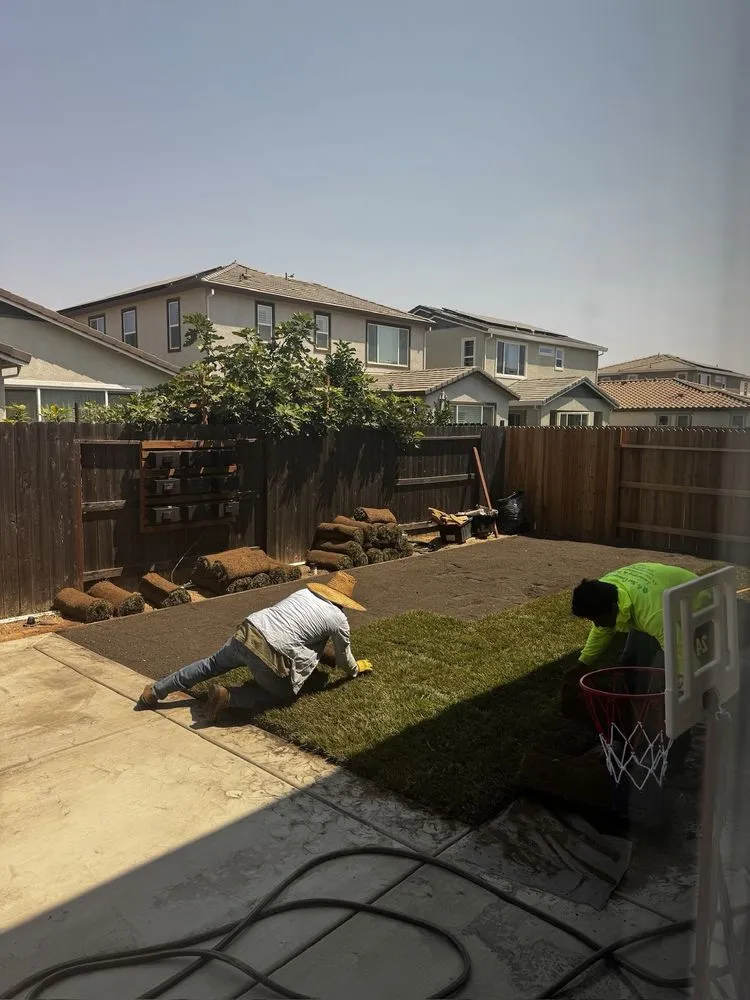 Affordable lawn care service for year-round maintenance in Rancho Cordova, CA by New Concept Landscaping