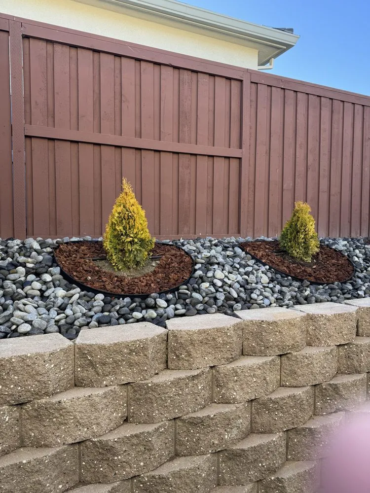 Reliable residential landscaping for year-round maintenance in Rancho Cordova, CA by New Concept Landscaping