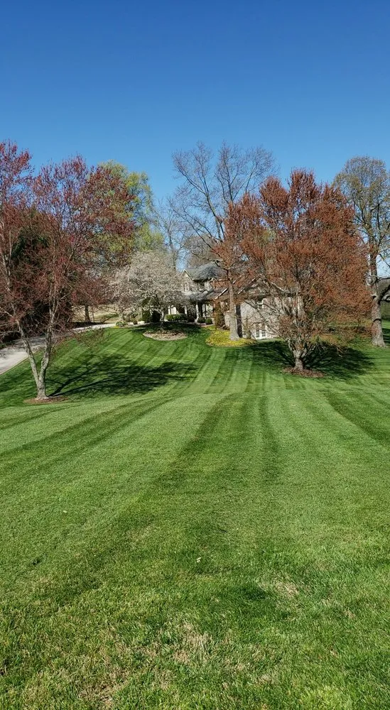 Trusted residential landscaping in Blountville, TN by New Covenant Lawn Care