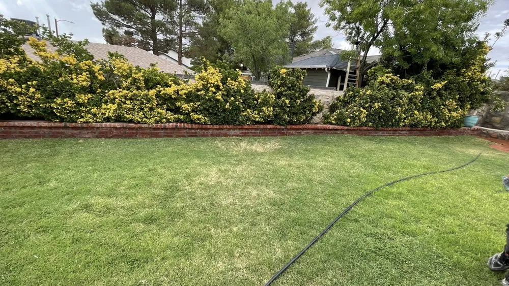 Reliable outdoor landscaping in El Paso, TX - New Creation Landscaping