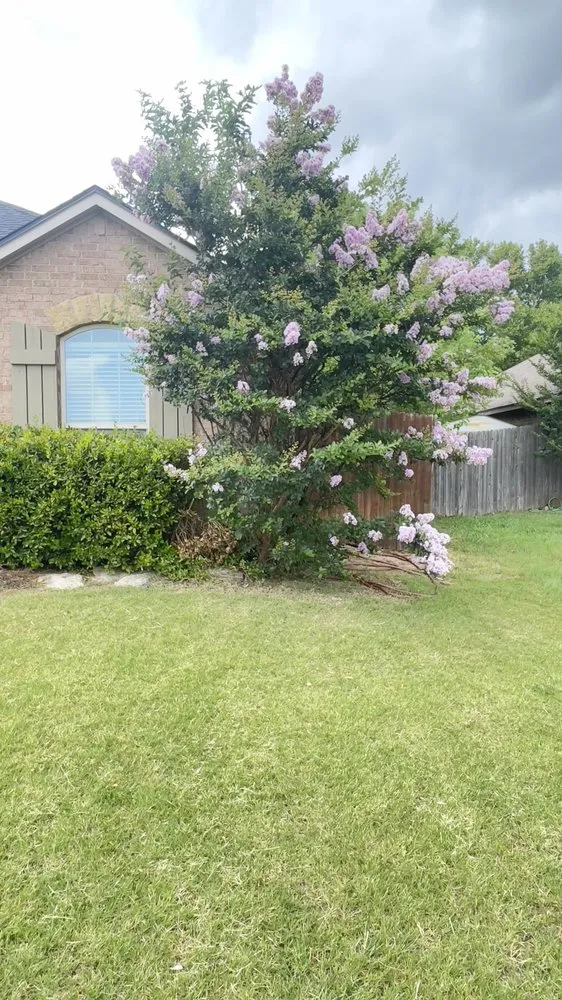 Top-rated yard maintenance for year-round maintenance in Lawton, OK by New Creation Landscaping