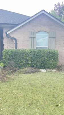 New Creation Landscaping Logo