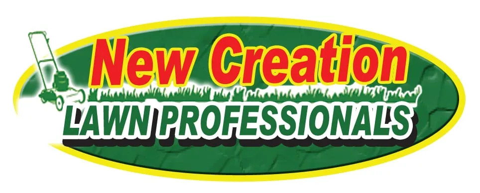 Professional landscape installation for year-round maintenance across Tampa Bay, FL - New Creation Lawn Professionals
