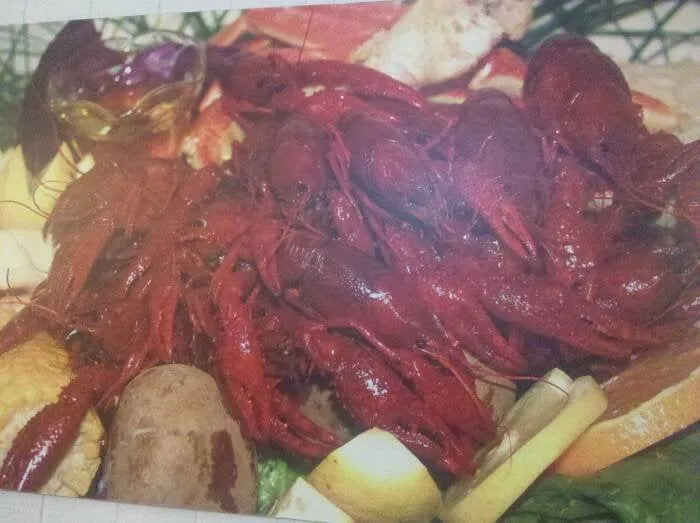 Trusted landscape installation for year-round maintenance in Tulare, CA by New Creation Pools