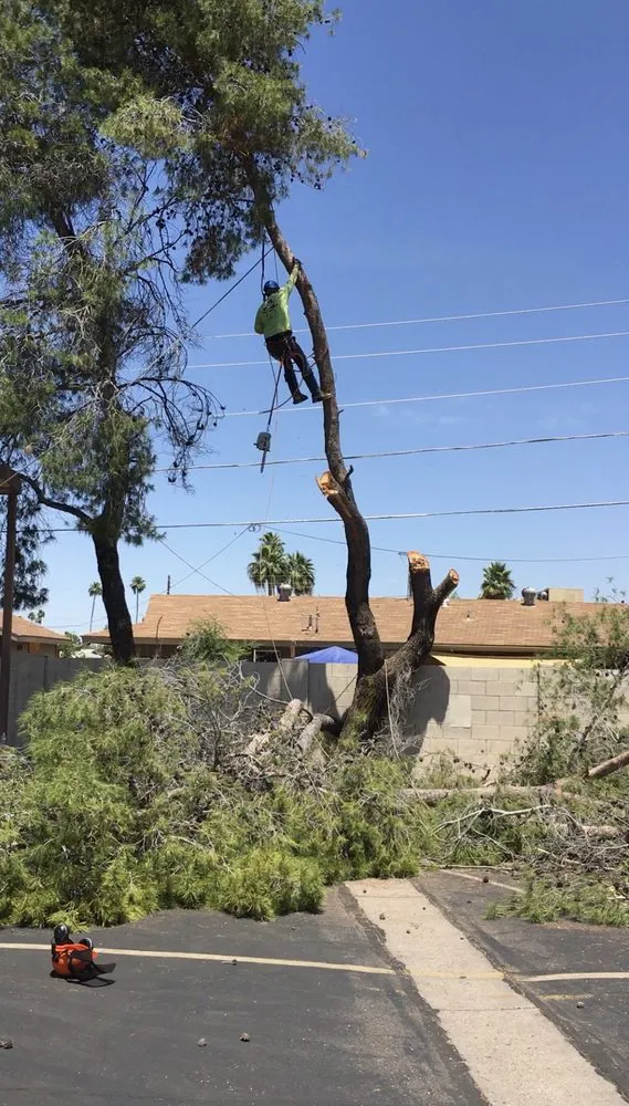 Custom lawn care service in Queen Creek, AZ - New Creations Landscape Services