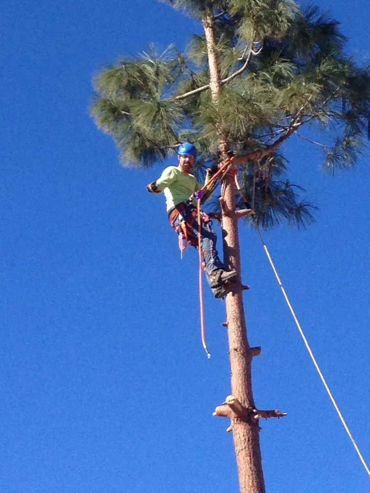 Top-rated landscape installation for year-round maintenance in Queen Creek, AZ by New Creations Landscape Services