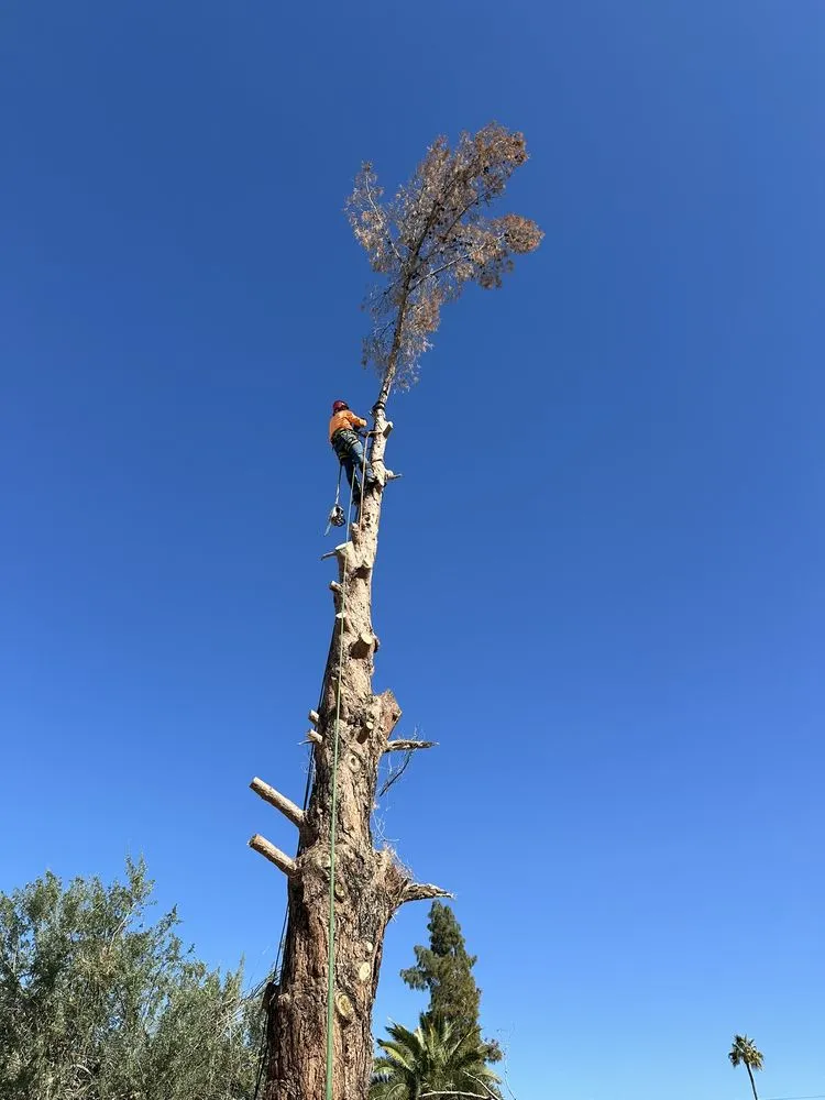 Professional lawn mowing service for beautiful yards in Queen Creek, AZ by New Creations Landscape Services