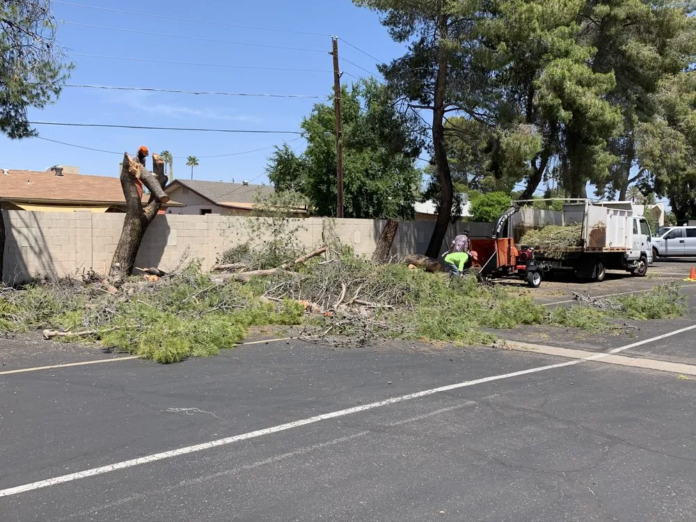 Reliable lawn mowing service in Queen Creek, AZ by New Creations Landscape Services