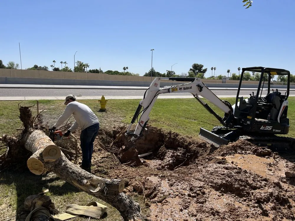 Reliable residential landscaping in Queen Creek, AZ - New Creations Landscape Services