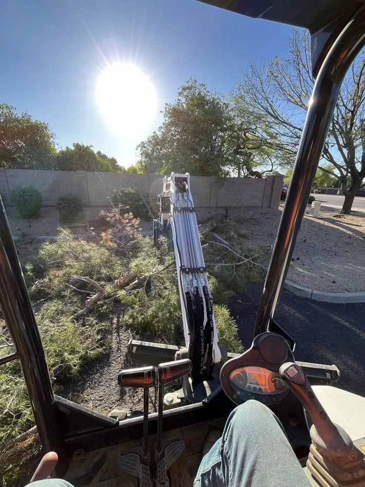 Affordable landscape installation for homes in Queen Creek, AZ by New Creations Landscape Services