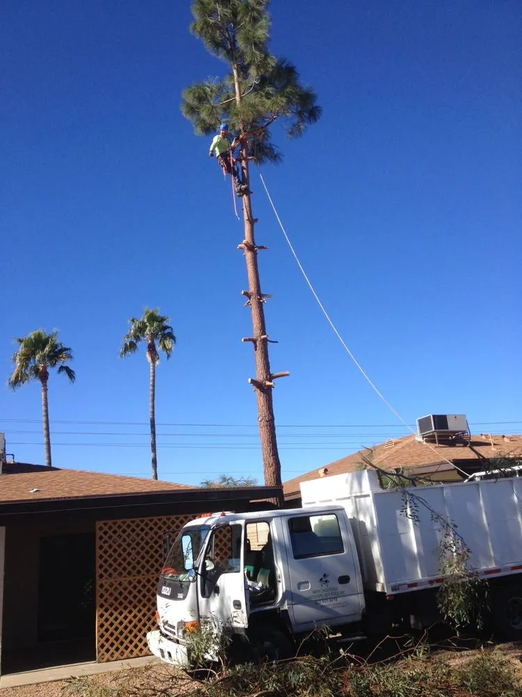 Custom landscaping services in Queen Creek, AZ by New Creations Landscape Services