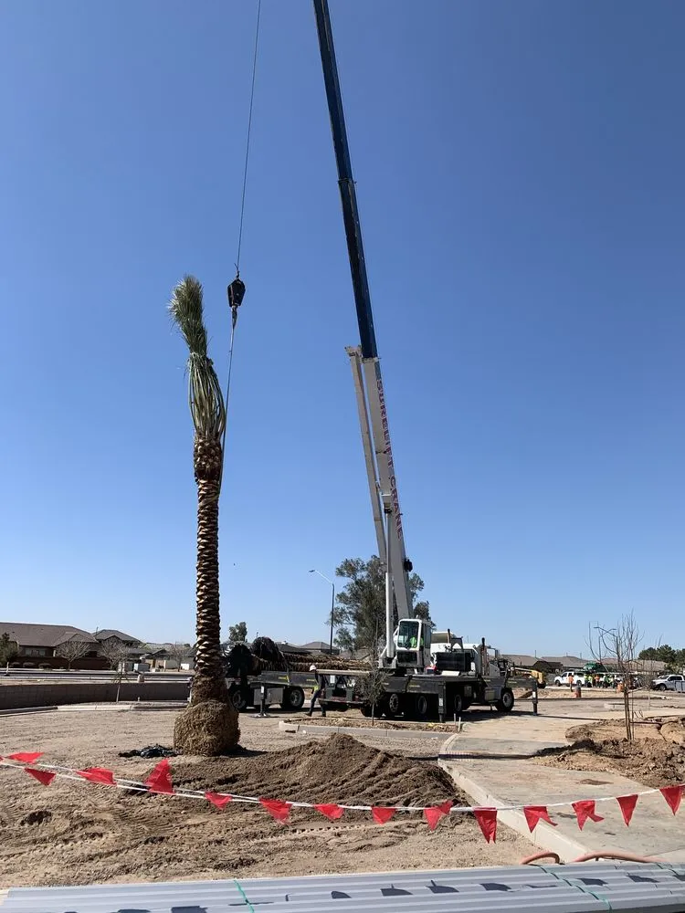 Reliable lawn care service in Queen Creek, AZ by New Creations Landscape Services