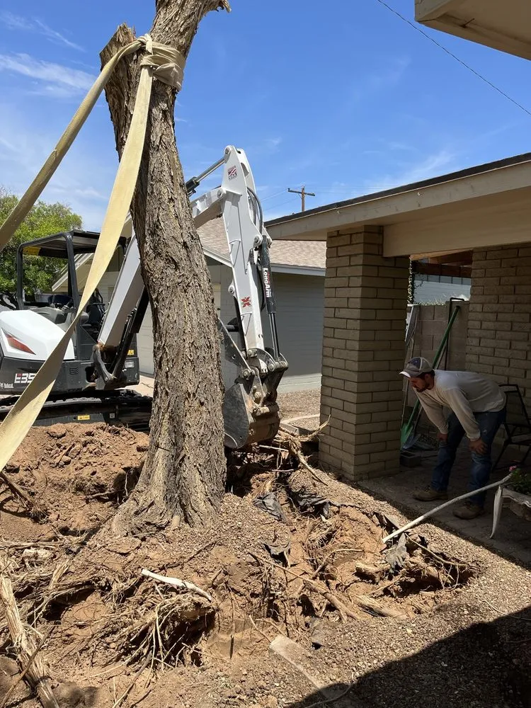 Top-rated lawn care service for residential properties across Queen Creek, AZ - New Creations Landscape Services