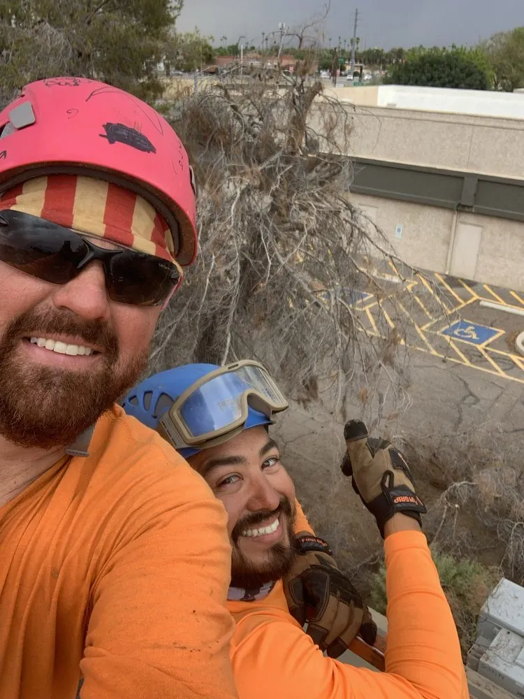 Expert lawn care service experts serving Queen Creek, AZ - New Creations Landscape Services