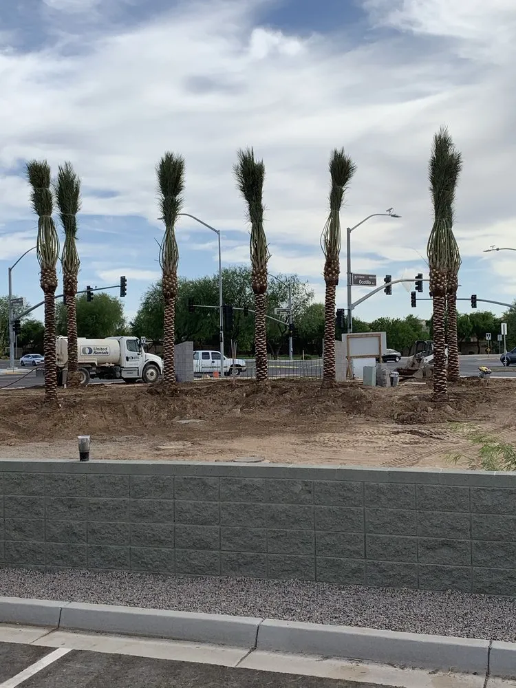 Affordable yard maintenance in Queen Creek, AZ - New Creations Landscape Services