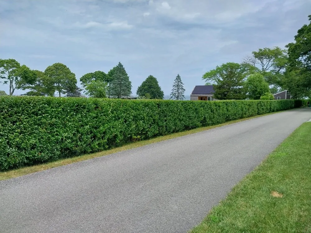 Affordable residential landscaping in Westport, MA - New Cuts Landscaping