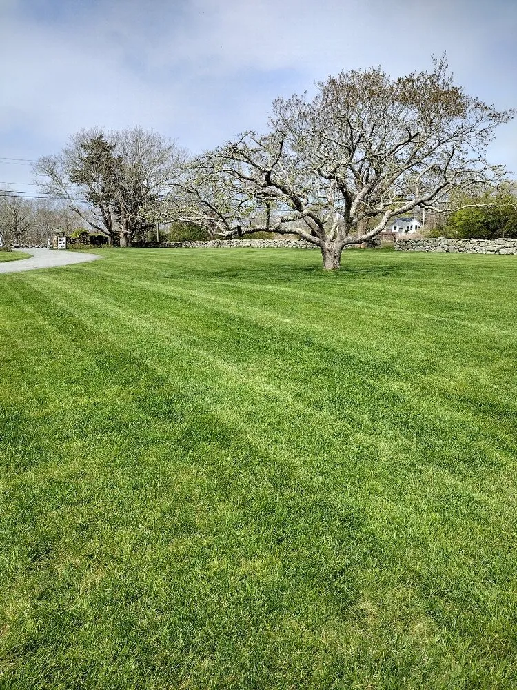 Local landscape installation for residential properties in Westport, MA by New Cuts Landscaping