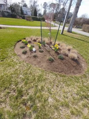 New Cuts Landscaping Logo