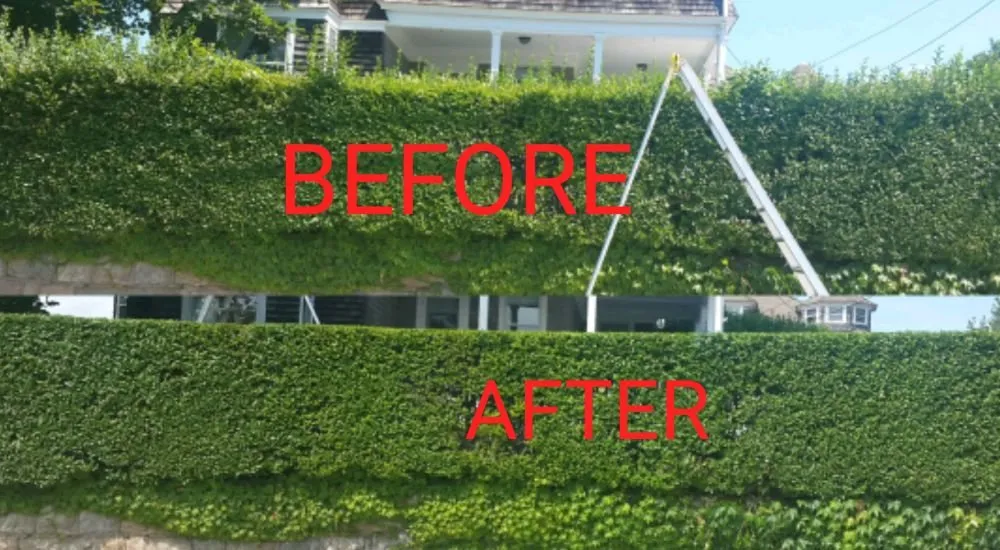 Top-rated landscape installation in Providence, RI - New Dawn Landscaping and construction