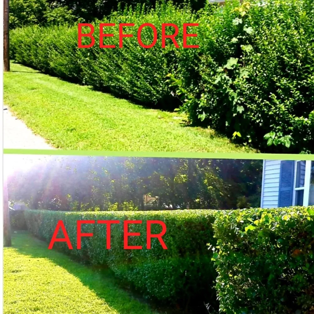 Affordable garden landscaping near you in Providence, RI by New Dawn Landscaping and construction