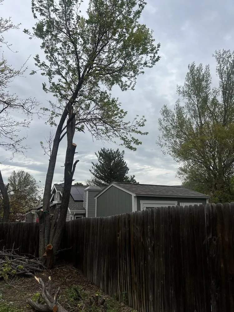 Custom outdoor landscaping for year-round maintenance in Providence, RI by New Dawn Landscaping and construction