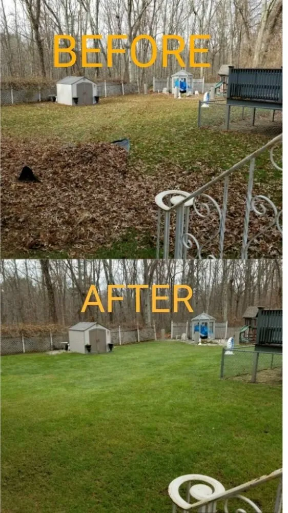 Expert yard cleanup service for residential properties across Providence, RI - New Dawn Landscaping and construction