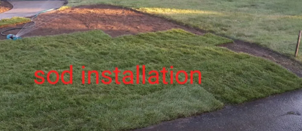 Professional residential landscaping in Providence, RI by New Dawn Landscaping and construction