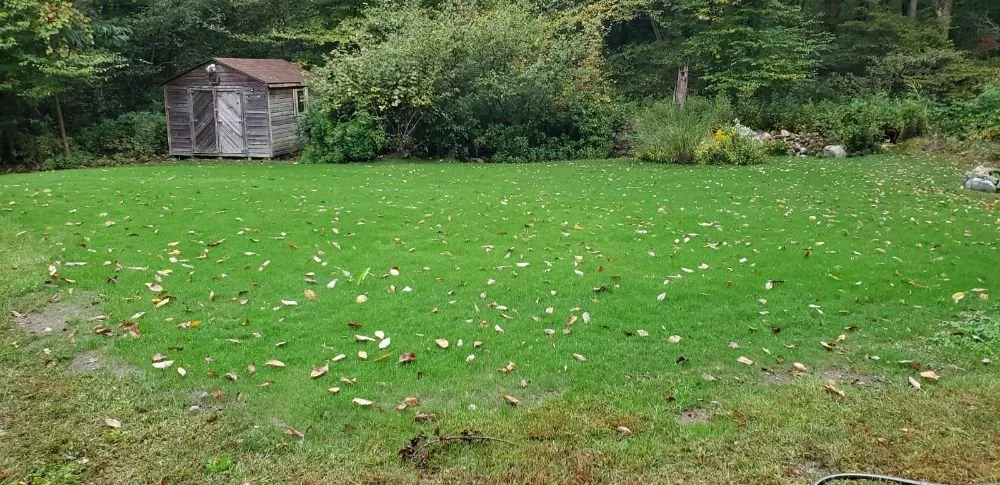 Expert yard maintenance for homes across Providence, RI - New Dawn Landscaping and construction