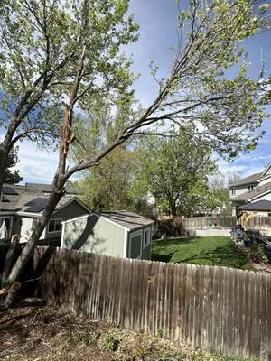 New Dawn Landscaping and construction Logo