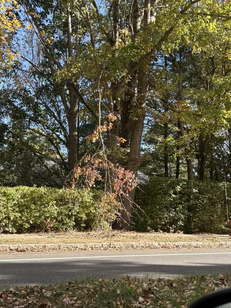 Custom landscaping services near you across Princeton, NJ - New Dawn Landscaping