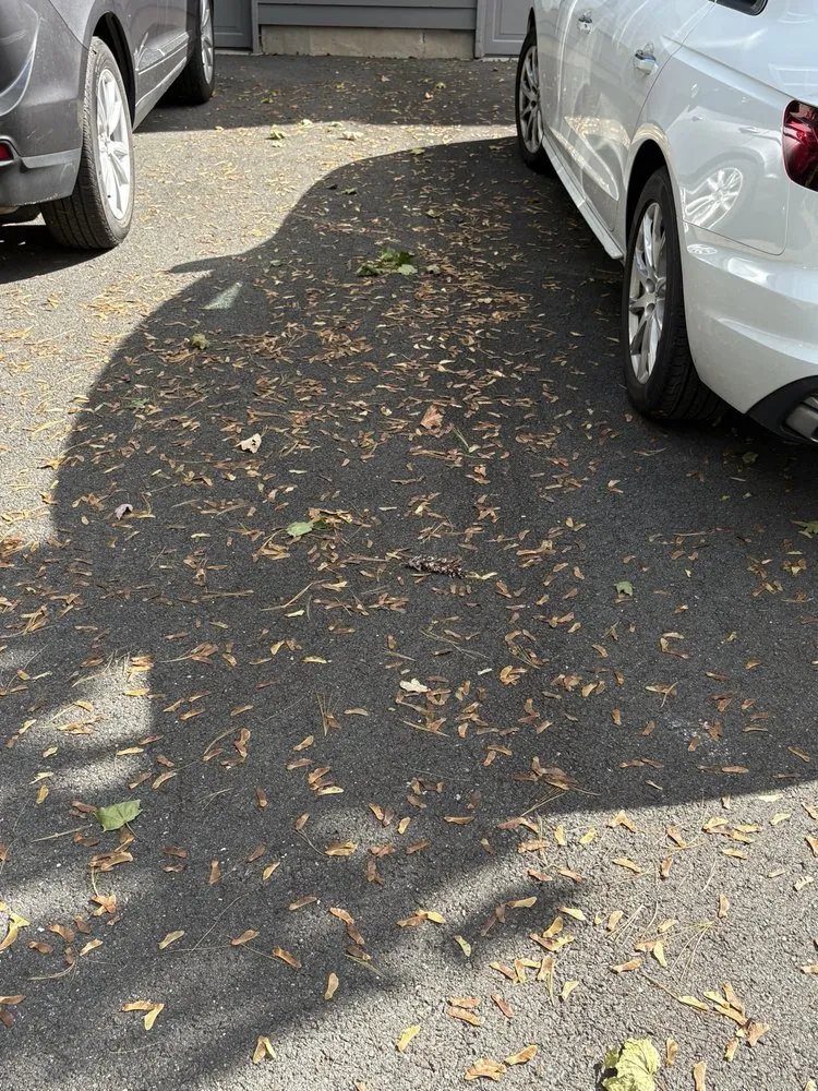 Reliable landscape design experts serving Princeton, NJ - New Dawn Landscaping