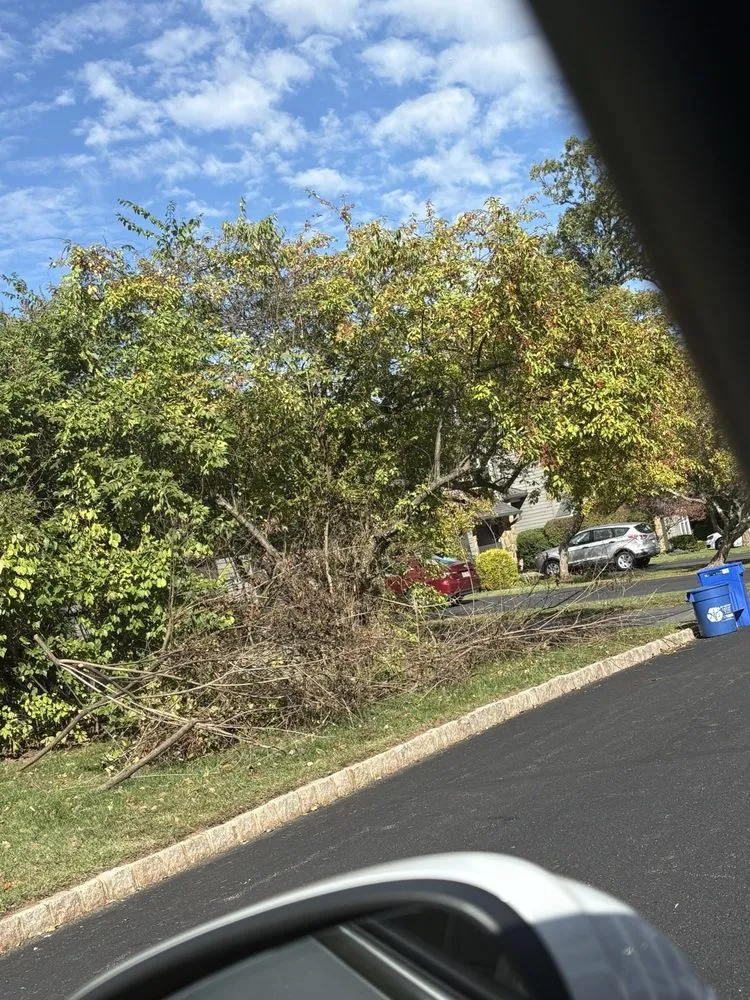 Reliable yard maintenance in Princeton, NJ - New Dawn Landscaping